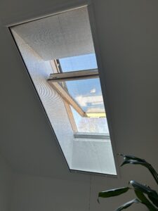 IMG_0138